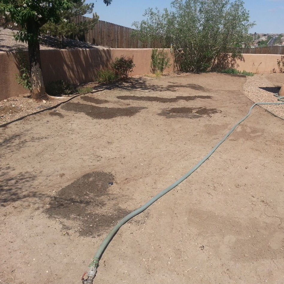 Dirt patio with a green garden hose on a sunny day